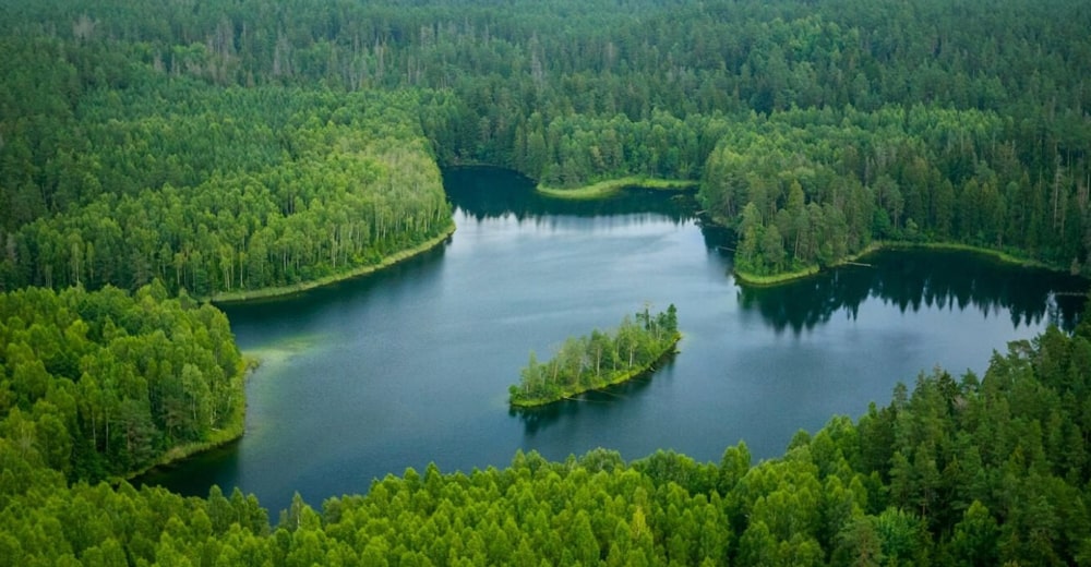 Баннер 2